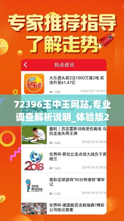 72396王中王网站,专业调查解析说明_体验版2.875