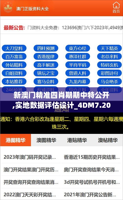 新澳门精准四肖期期中特公开,实地数据评估设计_4DM7.207