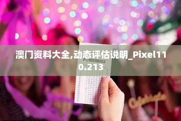 澳门资料大全,动态评估说明_Pixel110.213