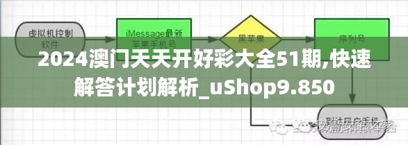 2024澳门天天开好彩大全51期,快速解答计划解析_uShop9.850