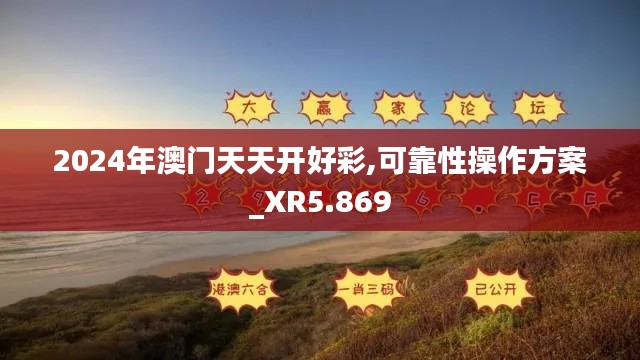 2024年澳门天天开好彩,可靠性操作方案_XR5.869