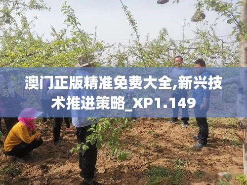 澳门正版精准免费大全,新兴技术推进策略_XP1.149