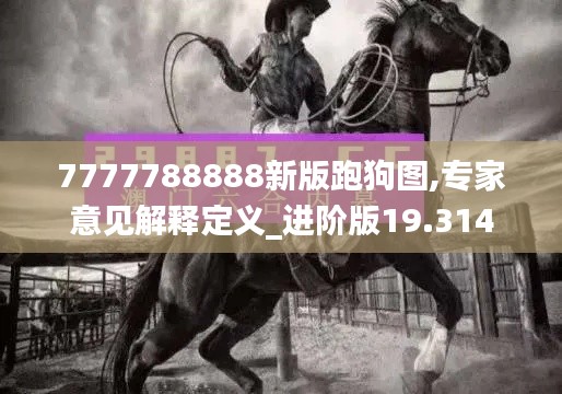 7777788888新版跑狗图,专家意见解释定义_进阶版19.314