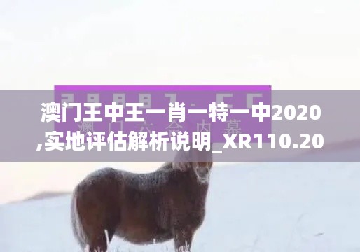 澳门王中王一肖一特一中2020,实地评估解析说明_XR110.204