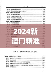 2024新澳门精准资料免费大全,平衡性策略实施指导_pro10.789