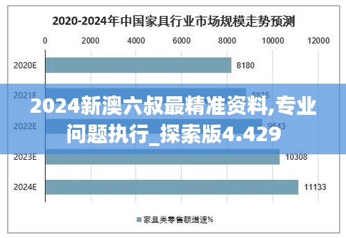 2024新澳六叔最精准资料,专业问题执行_探索版4.429