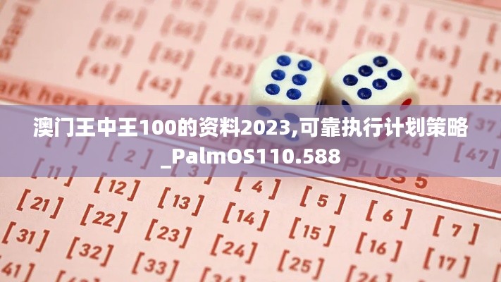 澳门王中王100的资料2023,可靠执行计划策略_PalmOS110.588