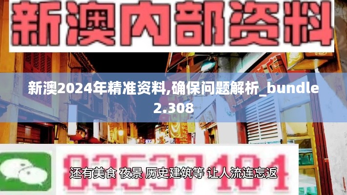 新澳2024年精准资料,确保问题解析_bundle2.308