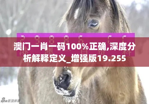 澳门一肖一码100%正确,深度分析解释定义_增强版19.255