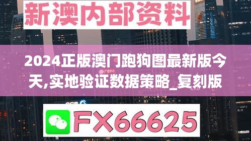 2024正版澳门跑狗图最新版今天,实地验证数据策略_复刻版3.470