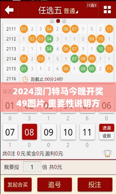 2024澳门特马今晚开奖49图片,重要性说明方法_10DM6.164