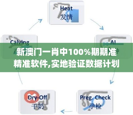 新澳门一肖中100%期期准精准软件,实地验证数据计划_基础版10.207