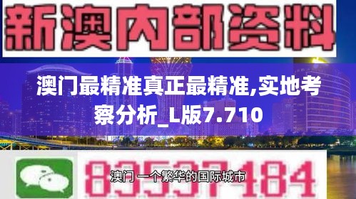 澳门最精准真正最精准,实地考察分析_L版7.710