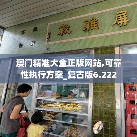 澳门精准大全正版网站,可靠性执行方案_复古版6.222