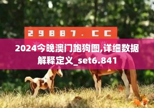 2024今晚澳门跑狗图,详细数据解释定义_set6.841