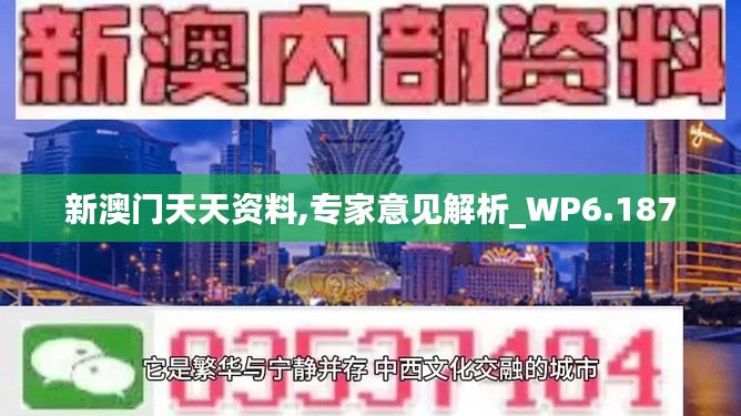 新澳门天天资料,专家意见解析_WP6.187