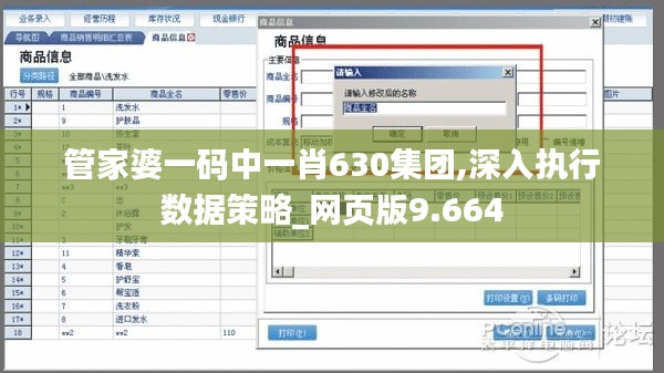 管家婆一码中一肖630集团,深入执行数据策略_网页版9.664