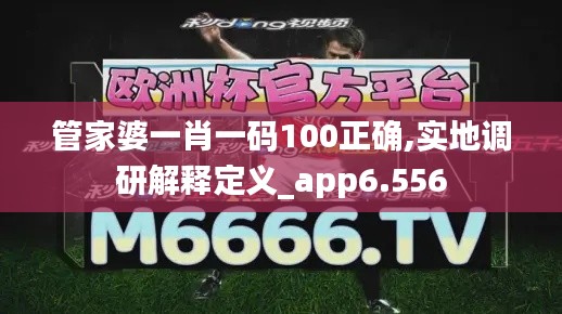 管家婆一肖一码100正确,实地调研解释定义_app6.556