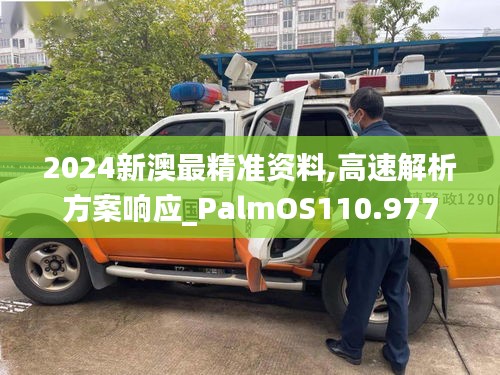 2024新澳最精准资料,高速解析方案响应_PalmOS110.977