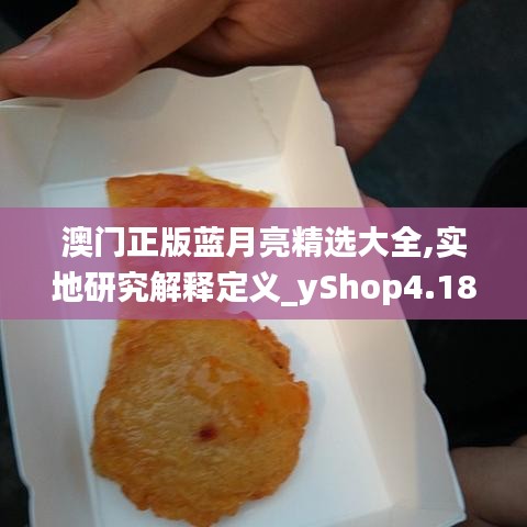 澳门正版蓝月亮精选大全,实地研究解释定义_yShop4.185