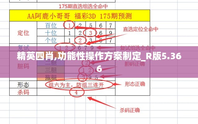 精英四肖,功能性操作方案制定_R版5.366