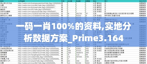 一码一肖100%的资料,实地分析数据方案_Prime3.164