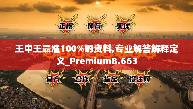 王中王最准100%的资料,专业解答解释定义_Premium8.663