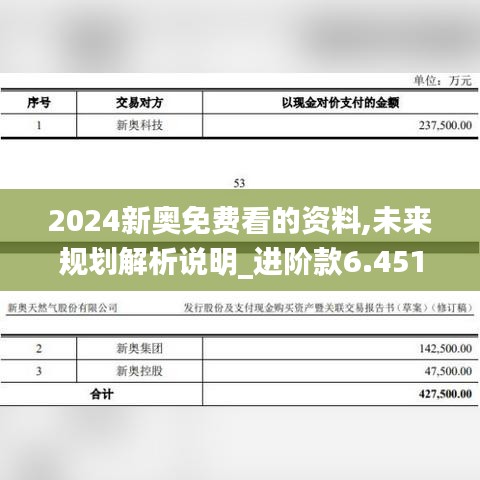 2024新奥免费看的资料,未来规划解析说明_进阶款6.451