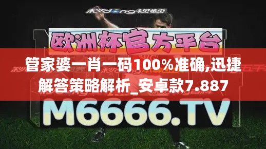 管家婆一肖一码100%准确,迅捷解答策略解析_安卓款7.887