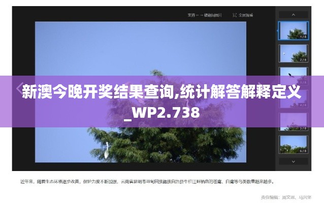 新澳今晚开奖结果查询,统计解答解释定义_WP2.738