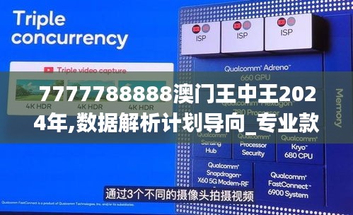 7777788888澳门王中王2024年,数据解析计划导向_专业款7.989