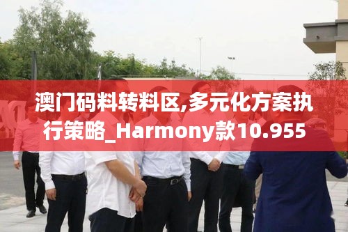 澳门码料转料区,多元化方案执行策略_Harmony款10.955