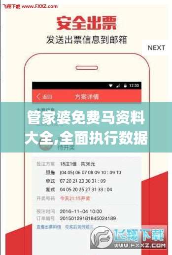 管家婆免费马资料大全,全面执行数据计划_XT10.633