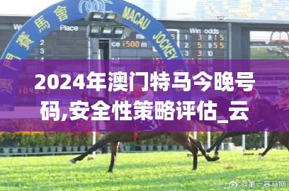 2024年澳门特马今晚号码,安全性策略评估_云端版7.331