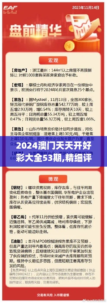 2024澳门天天开好彩大全53期,精细评估解析_开发版14.542