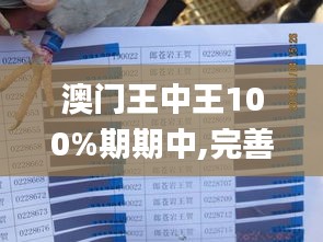 澳门王中王100%期期中,完善的机制评估_钻石版16.243