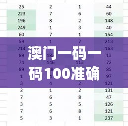 澳门一码一码100准确a07版,数据解析支持计划_P版8.187