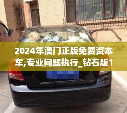 2024年澳门正版免费资本车,专业问题执行_钻石版10.754