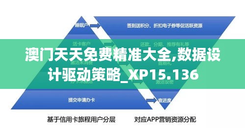 澳门天天免费精准大全,数据设计驱动策略_XP15.136