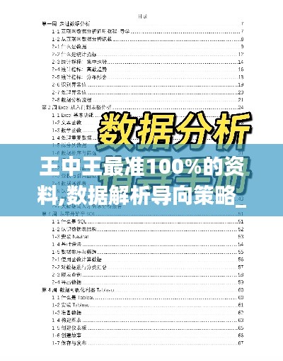 王中王最准100%的资料,数据解析导向策略_R版8.841