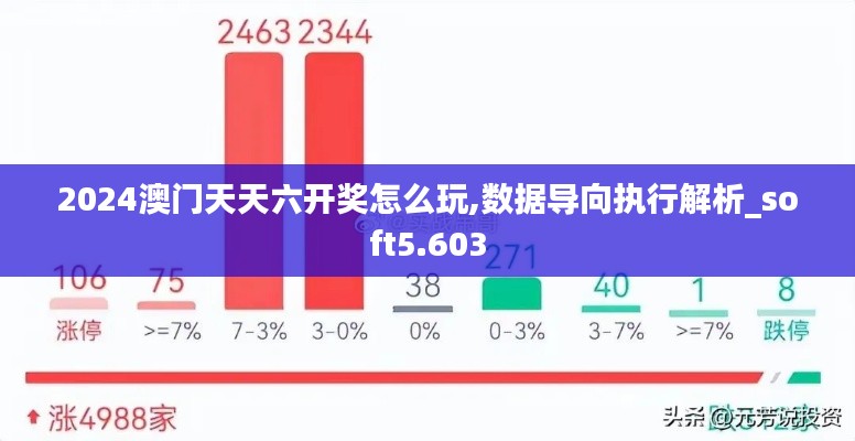 2024澳门天天六开奖怎么玩,数据导向执行解析_soft5.603