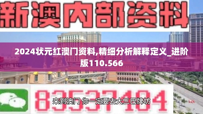 2024状元红澳门资料,精细分析解释定义_进阶版110.566