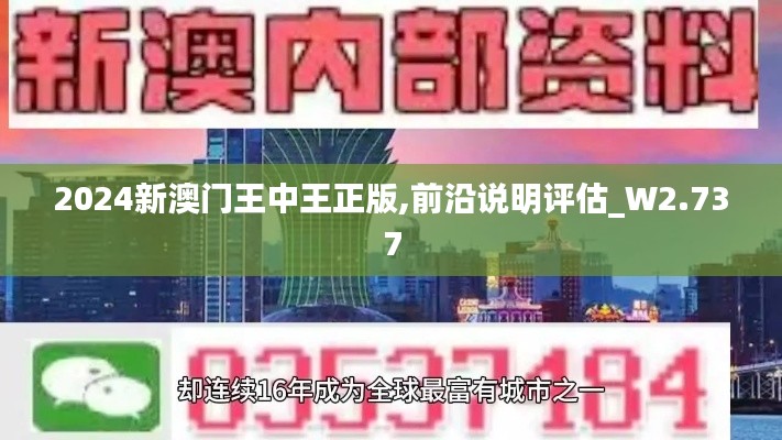 2024新澳门王中王正版,前沿说明评估_W2.737