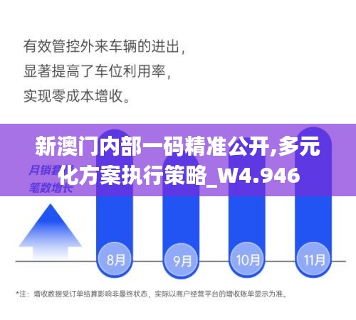 新澳门内部一码精准公开,多元化方案执行策略_W4.946