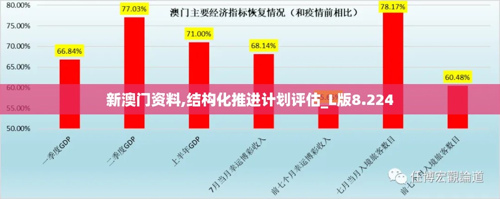 新澳门资料,结构化推进计划评估_L版8.224