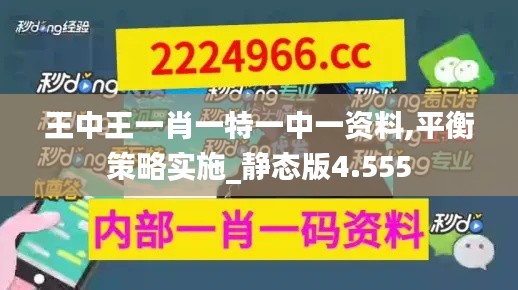 王中王一肖一特一中一资料,平衡策略实施_静态版4.555