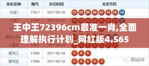 王中王72396cm最准一肖,全面理解执行计划_网红版4.565