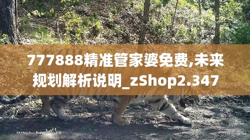 777888精准管家婆免费,未来规划解析说明_zShop2.347