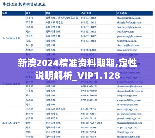 新澳2024精准资料期期,定性说明解析_VIP1.128